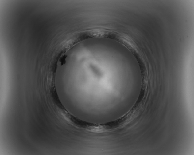 X0000086080411200703301133