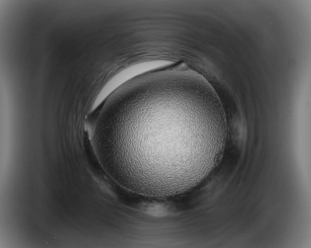 X0000086080412200703301133