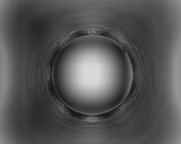 X0000086080413200703301133