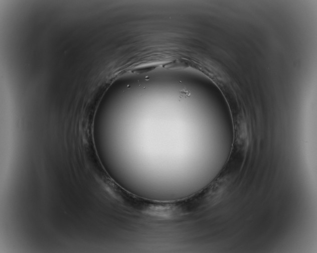 X0000086080414200703301133