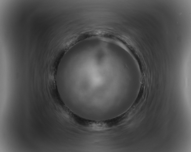 X0000086080415200703301133