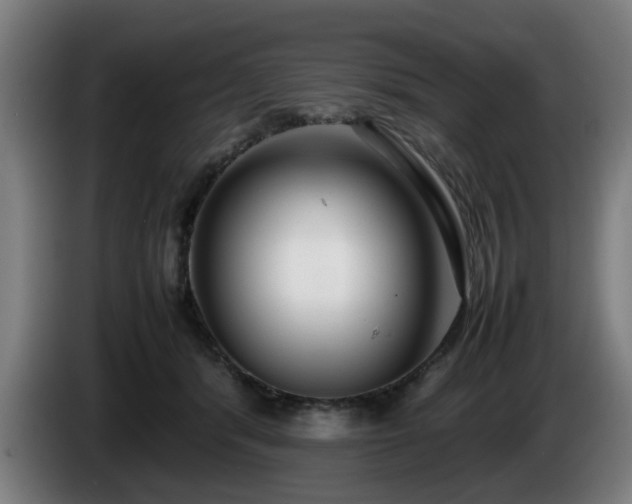 X0000086080416200703301133