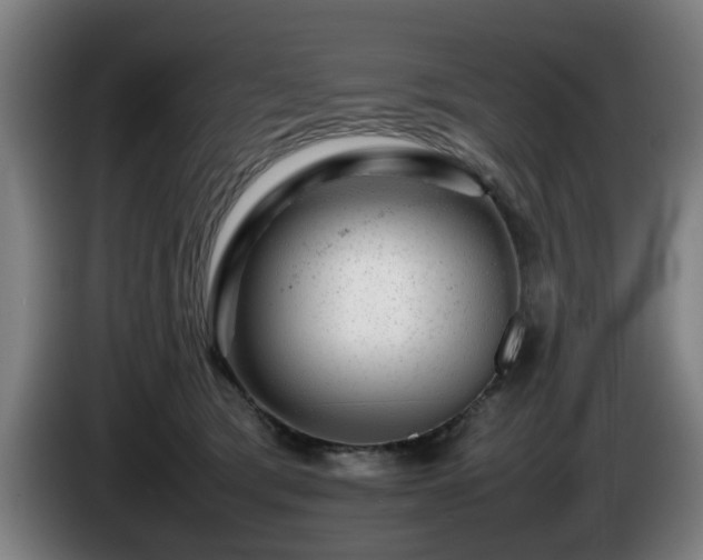 X0000086080417200703301133