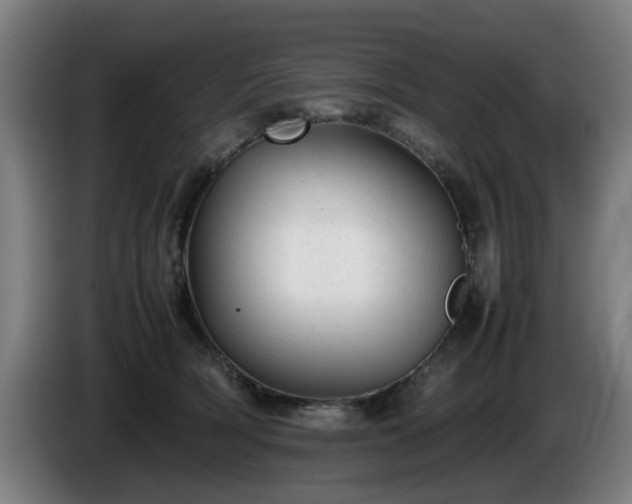 X0000086080418200703301133