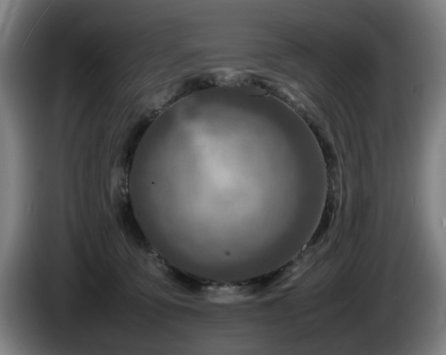 X0000086080419200703301133