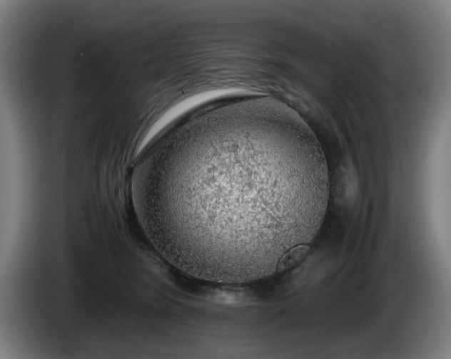 X0000086080420200703301133