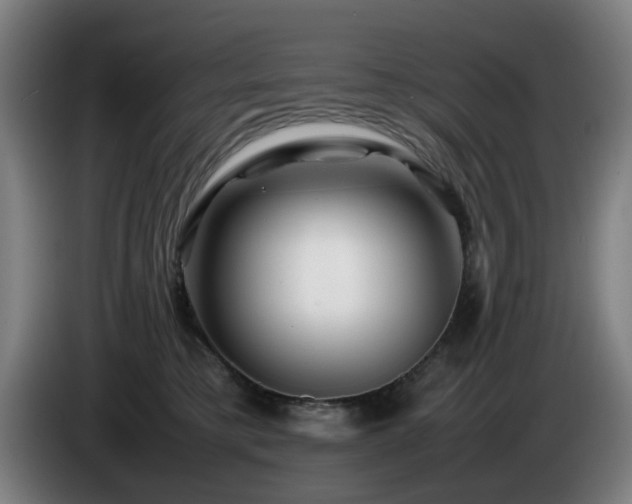 X0000086080421200703301133