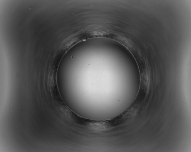 X0000086080422200703301133