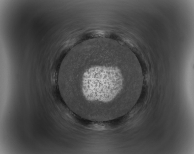 X0000086080423200703301133