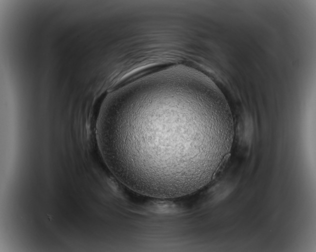 X0000086080424200703301133