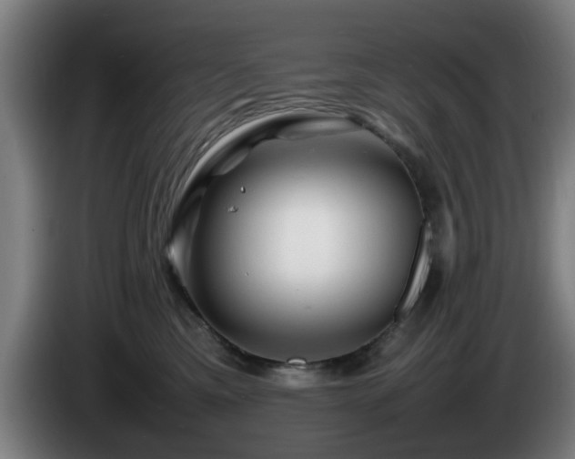 X0000086080425200703301133