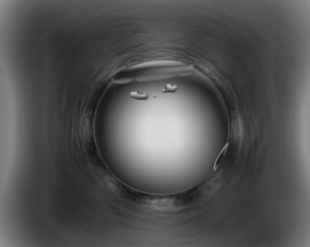 X0000086080426200703301133