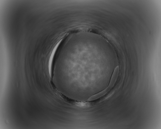 X0000086080432200703301133