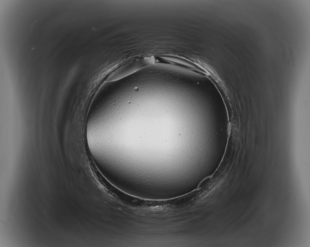 X0000086080433200703301132