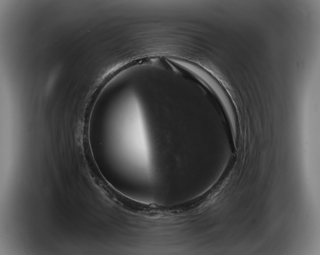 X0000086080434200703301132