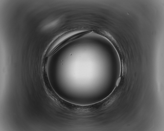 X0000086080435200703301132