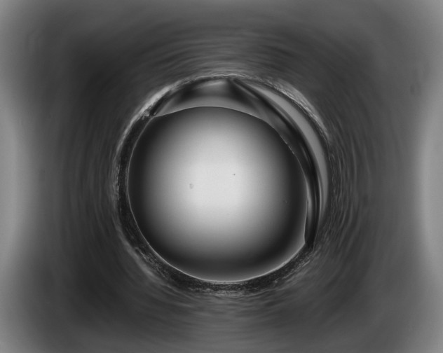 X0000086080436200703301132