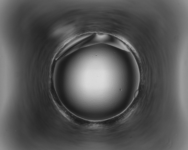 X0000086080437200703301132