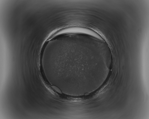 X0000086080438200703301132