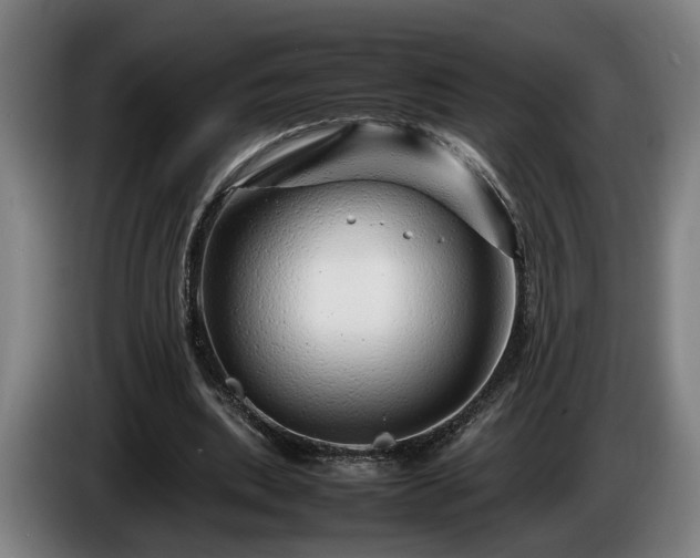 X0000086080439200703301132