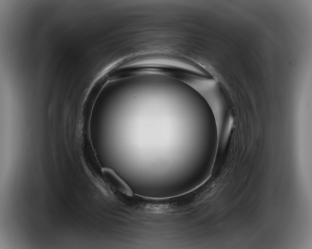 X0000086080440200703301132