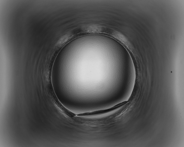 X0000086080441200703301132