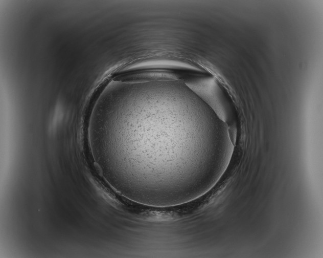 X0000086080442200703301132