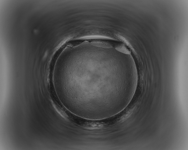 X0000086080443200703301132