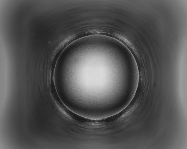 X0000086080445200703301132