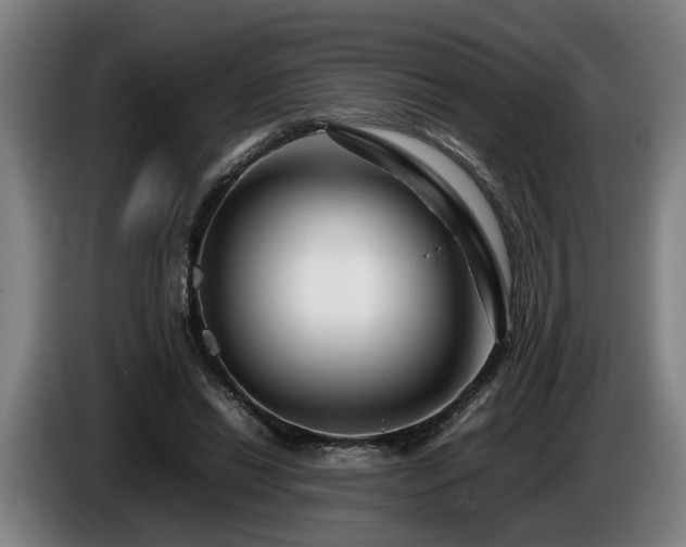 X0000086080446200703301132