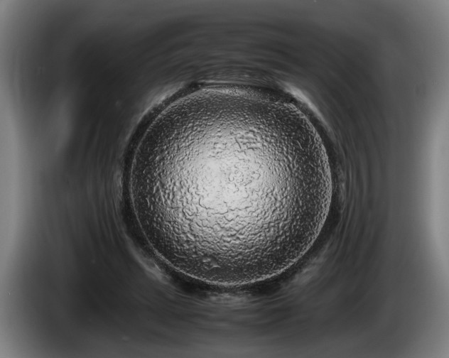 X0000086080447200703301132