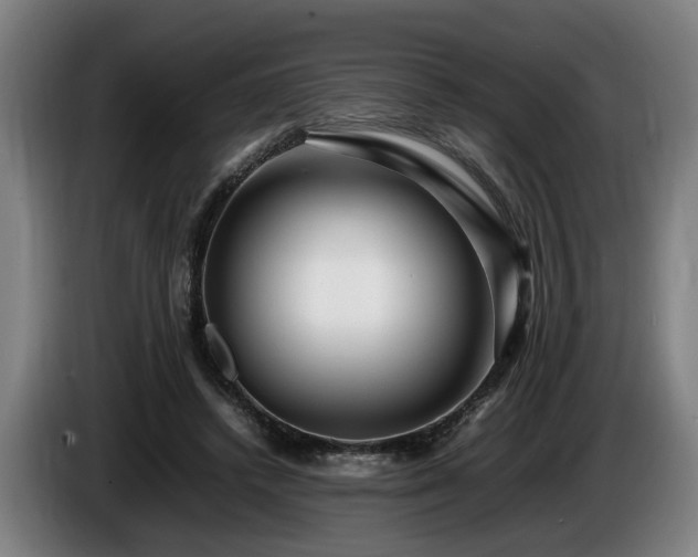 X0000086080448200703301132