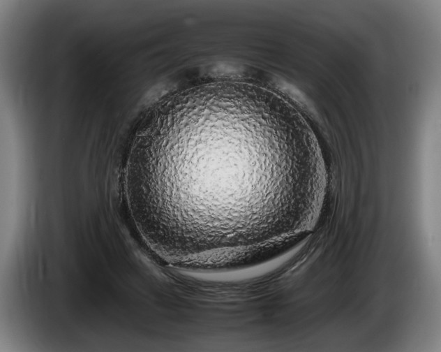 X0000086080449200703301132