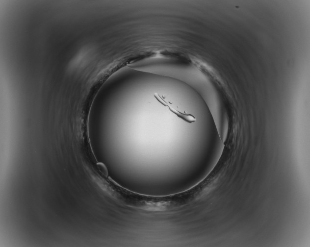 X0000086080450200703301132