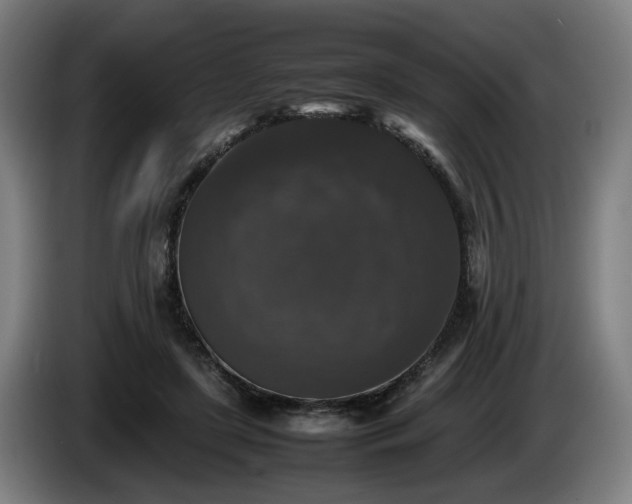 X0000086080451200703301132