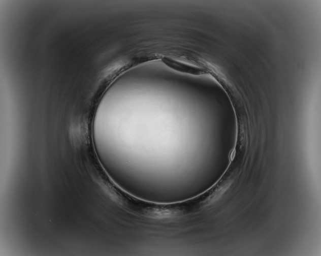 X0000086080453200703301132