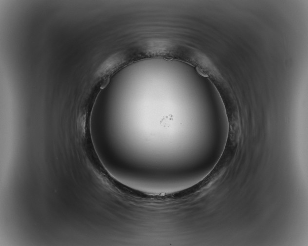 X0000086080454200703301132