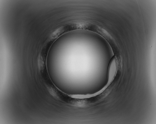 X0000086080456200703301132