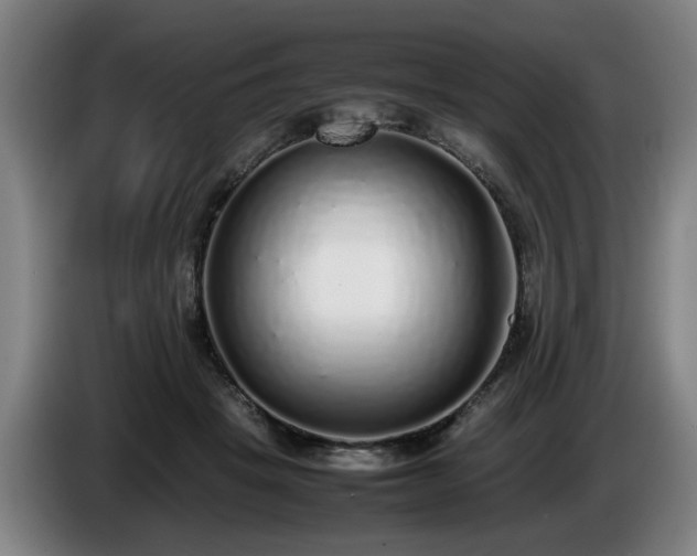 X0000086080457200703301132