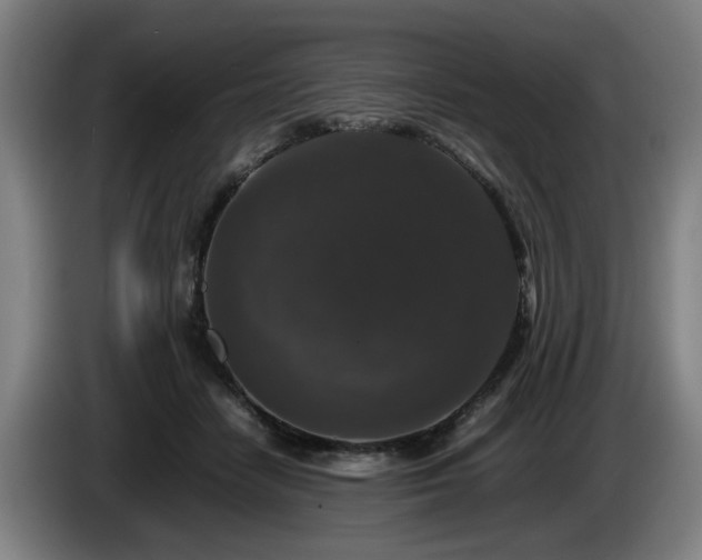 X0000086080458200703301132