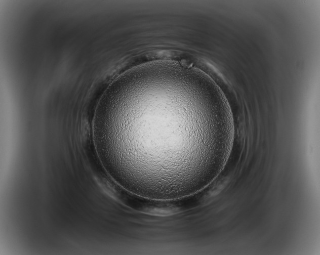 X0000086080459200703301132