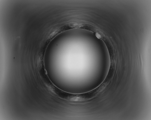 X0000086080460200703301132