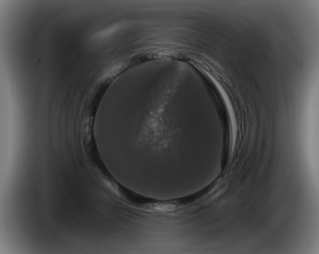 X0000086080462200703301132