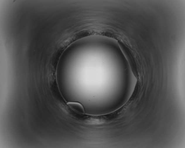 X0000086080464200703301132