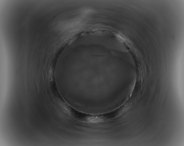 X0000086080465200703301132