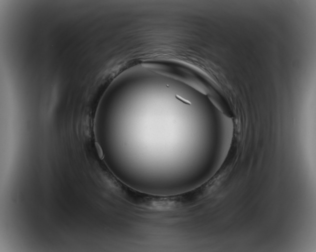 X0000086080470200703301132