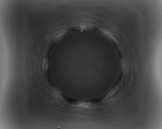 X0000086080471200703301132