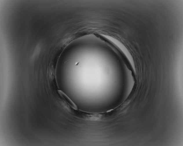 X0000086080474200703301133