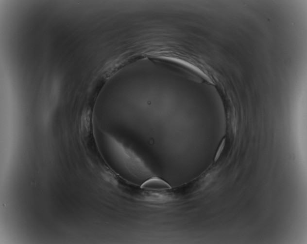 X0000086080475200703301133