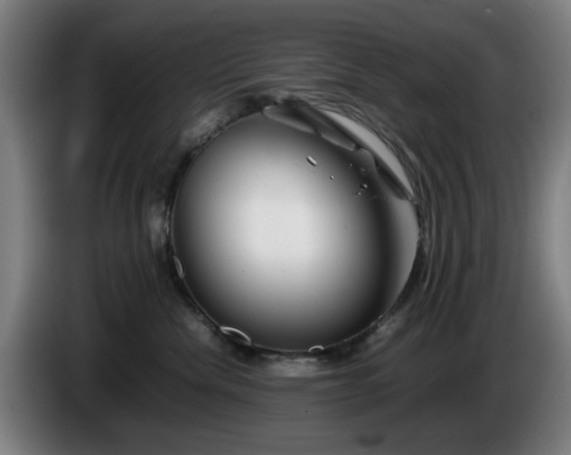 X0000086080476200703301133